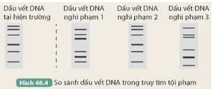 BÀI 48: ỨNG DỤNG CÔNG NGHỆ DI TRUYỀN VÀO ĐỜI SỐNG